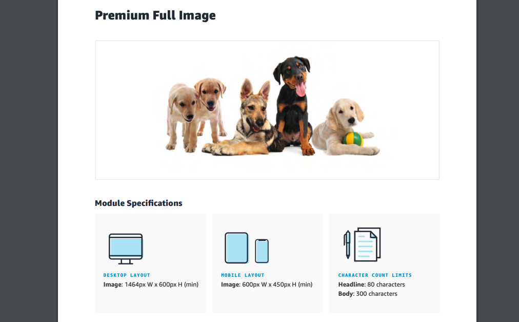 Amazon Premium A+ image size specifications